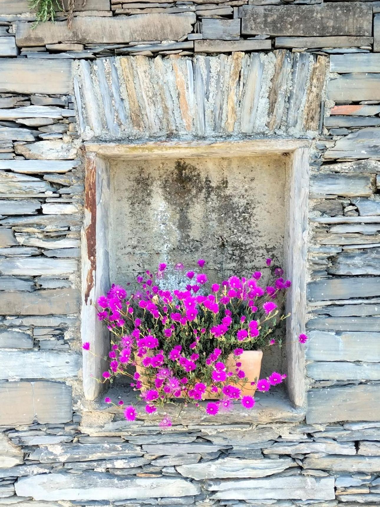 Ca' Da Tollo Hotel Cogorno Buitenkant foto